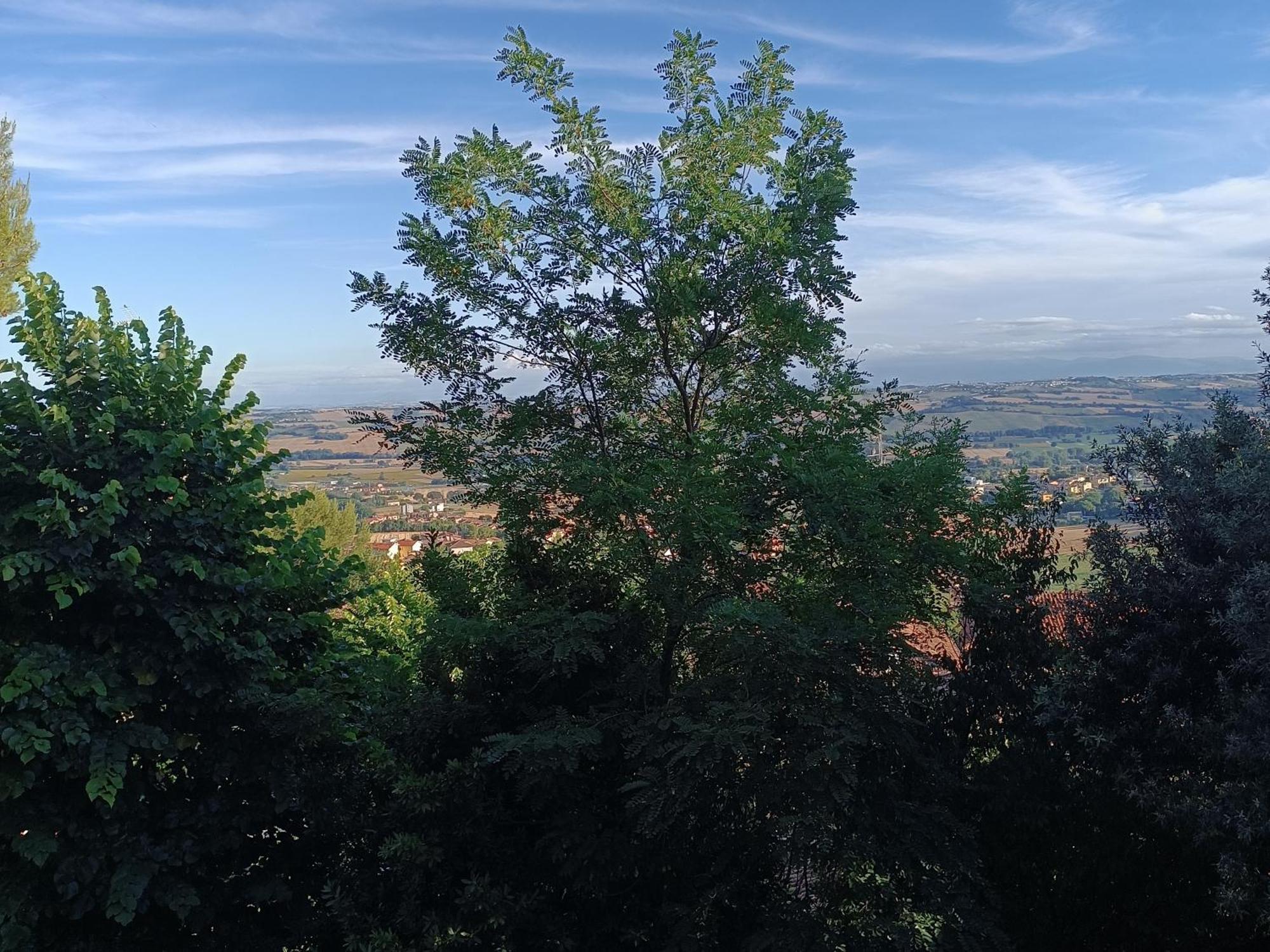Appartamenti Dei Conti Osimo Exterior foto